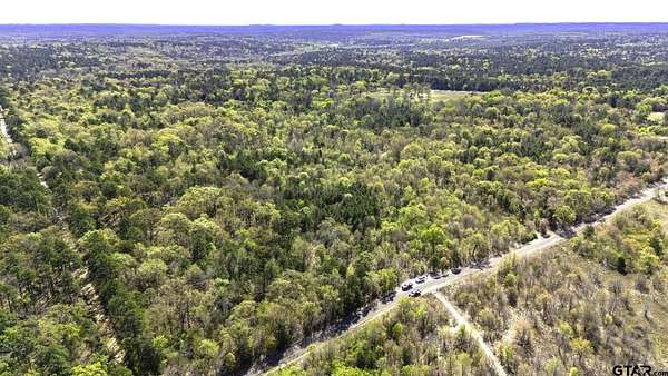 59 Acres of Recreational & Residential Land for Sale in Winnsboro, Texas