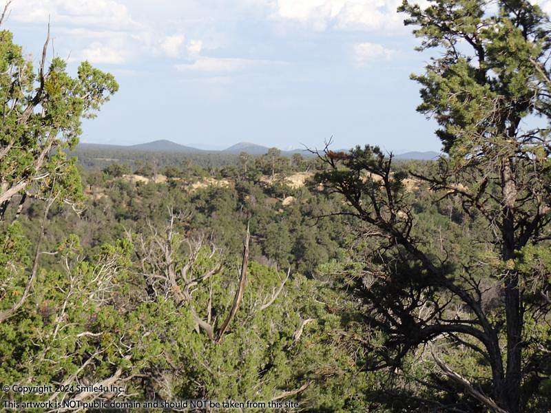 10.98 Acres of Recreational Land for Sale in Pinehill, New Mexico