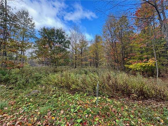 5 Acres of Residential Land for Sale in Butternuts Town, New York