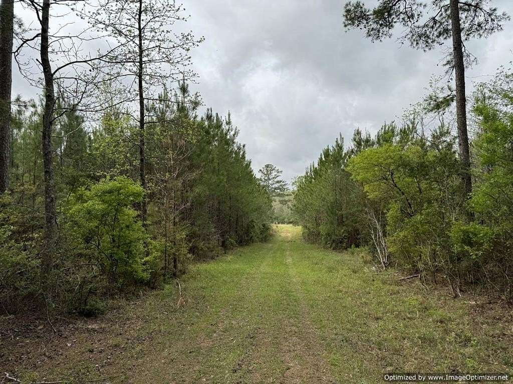 8.5 Acres of Residential Land for Sale in Brookhaven, Mississippi