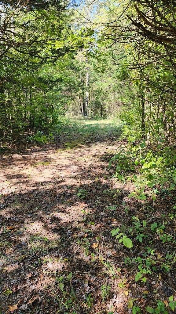 8.07 Acres of Residential Land for Sale in Cumberland, Virginia