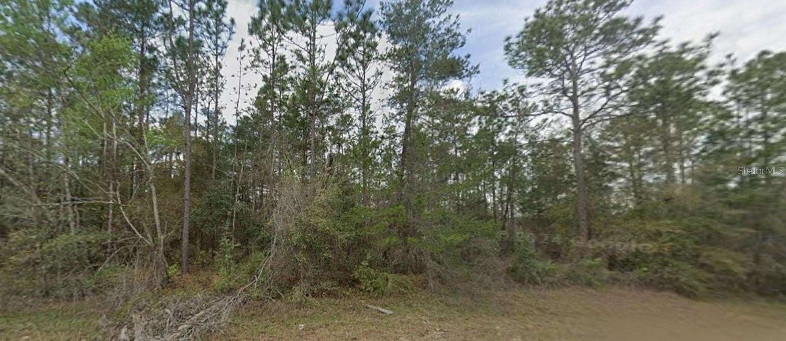 0.43 Acres of Residential Land for Sale in Interlachen, Florida