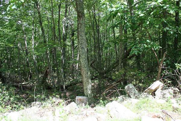 5 Acres of Residential Land for Sale in Monterey, Virginia