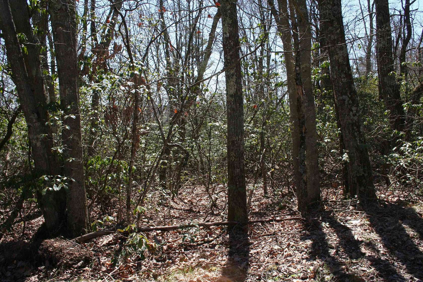6.84 Acres of Residential Land for Sale in Monterey, Virginia