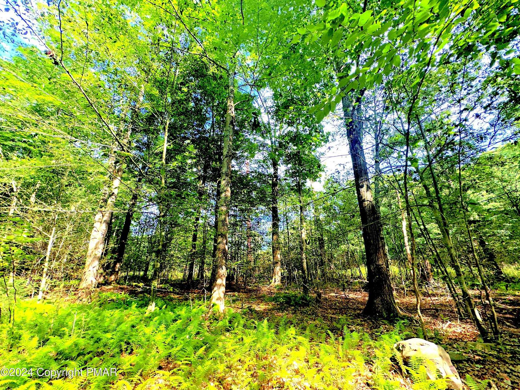 1.84 Acres of Residential Land for Sale in Pocono Lake, Pennsylvania