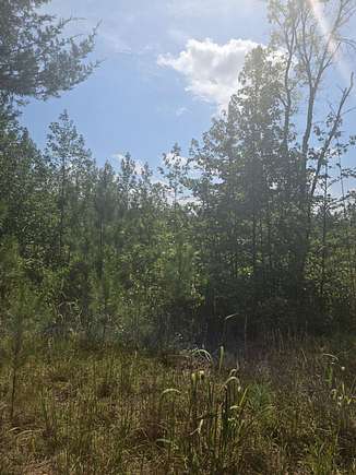 55 Acres of Recreational Land for Sale in Tishomingo, Mississippi