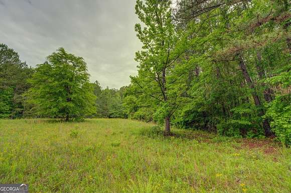 43.44 Acres of Agricultural Land for Sale in Shady Dale, Georgia