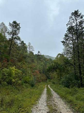 195 Acres of Recreational Land for Sale in Louisa, Kentucky