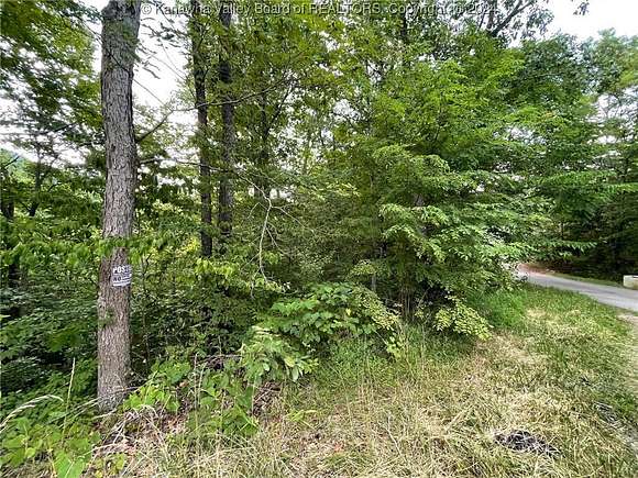 Residential Land for Sale in Wallback, West Virginia