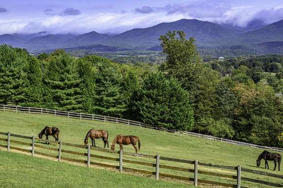 46.94 Acres of Land with Home for Sale in Glasgow, Virginia