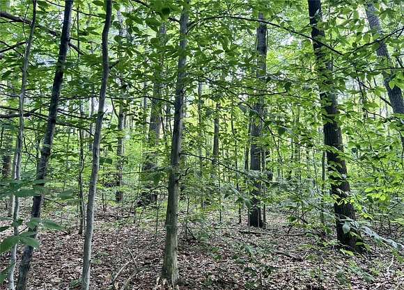 5.43 Acres of Residential Land for Sale in Springwater, New York