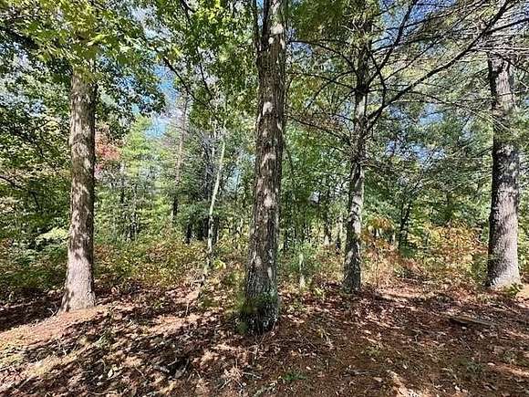 0.86 Acres of Residential Land for Sale in Mineral Bluff, Georgia