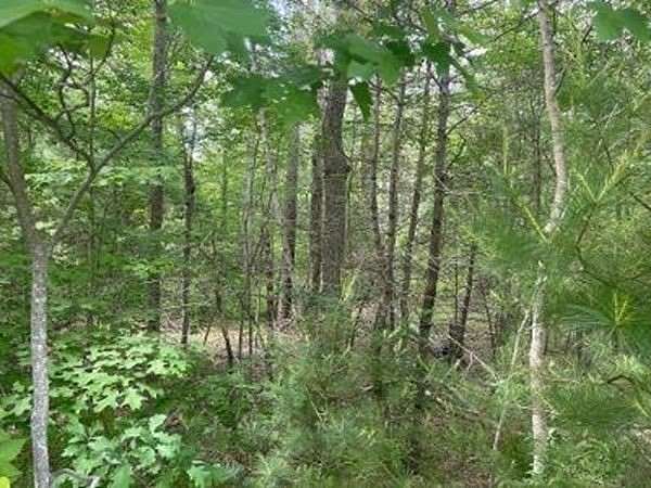 27.6 Acres of Land for Sale in Hanson, Massachusetts