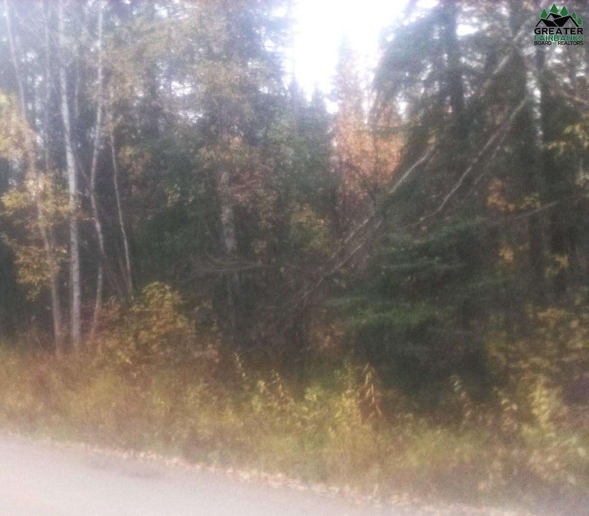 2.5 Acres of Residential Land for Sale in Salcha, Alaska