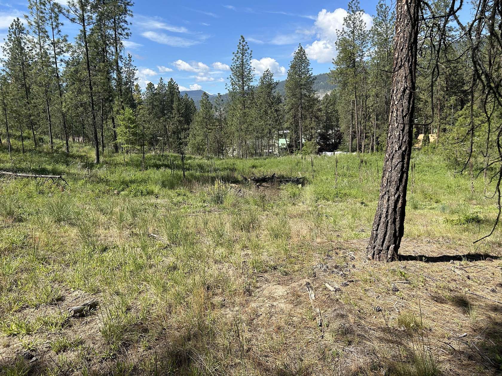 0.83 Acres of Residential Land for Sale in Kettle Falls, Washington