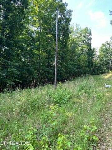 0.44 Acres of Residential Land for Sale in Spring City, Tennessee