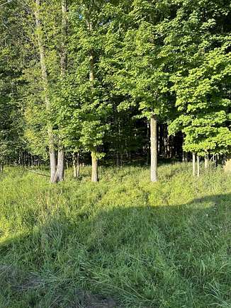 40 Acres of Recreational Land for Sale in Florence, Wisconsin