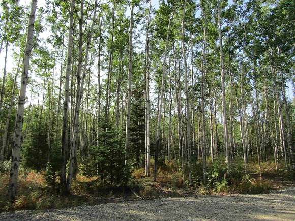 2.26 Acres of Residential Land for Sale in Delta Junction, Alaska