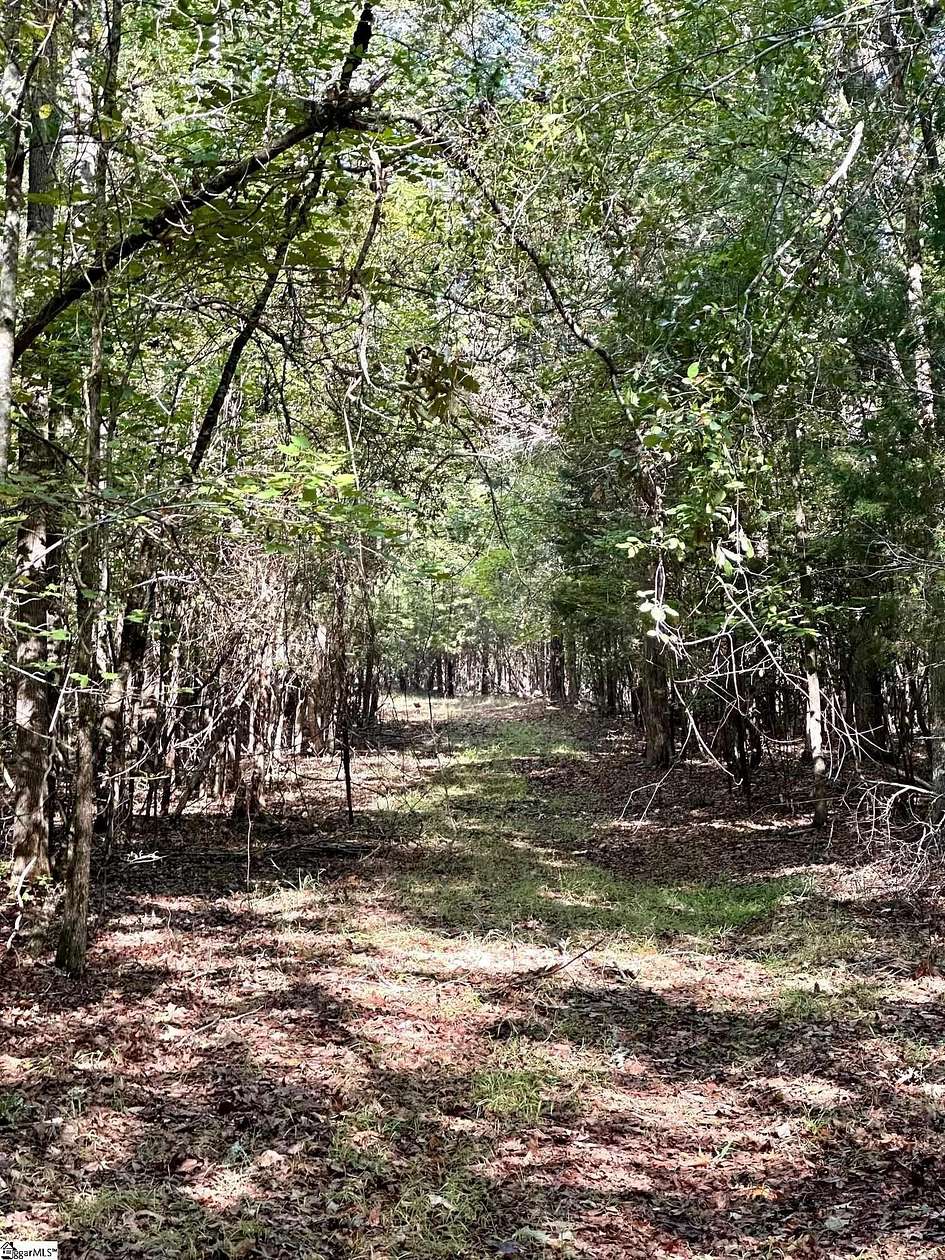 129 Acres of Recreational Land for Sale in Union, South Carolina