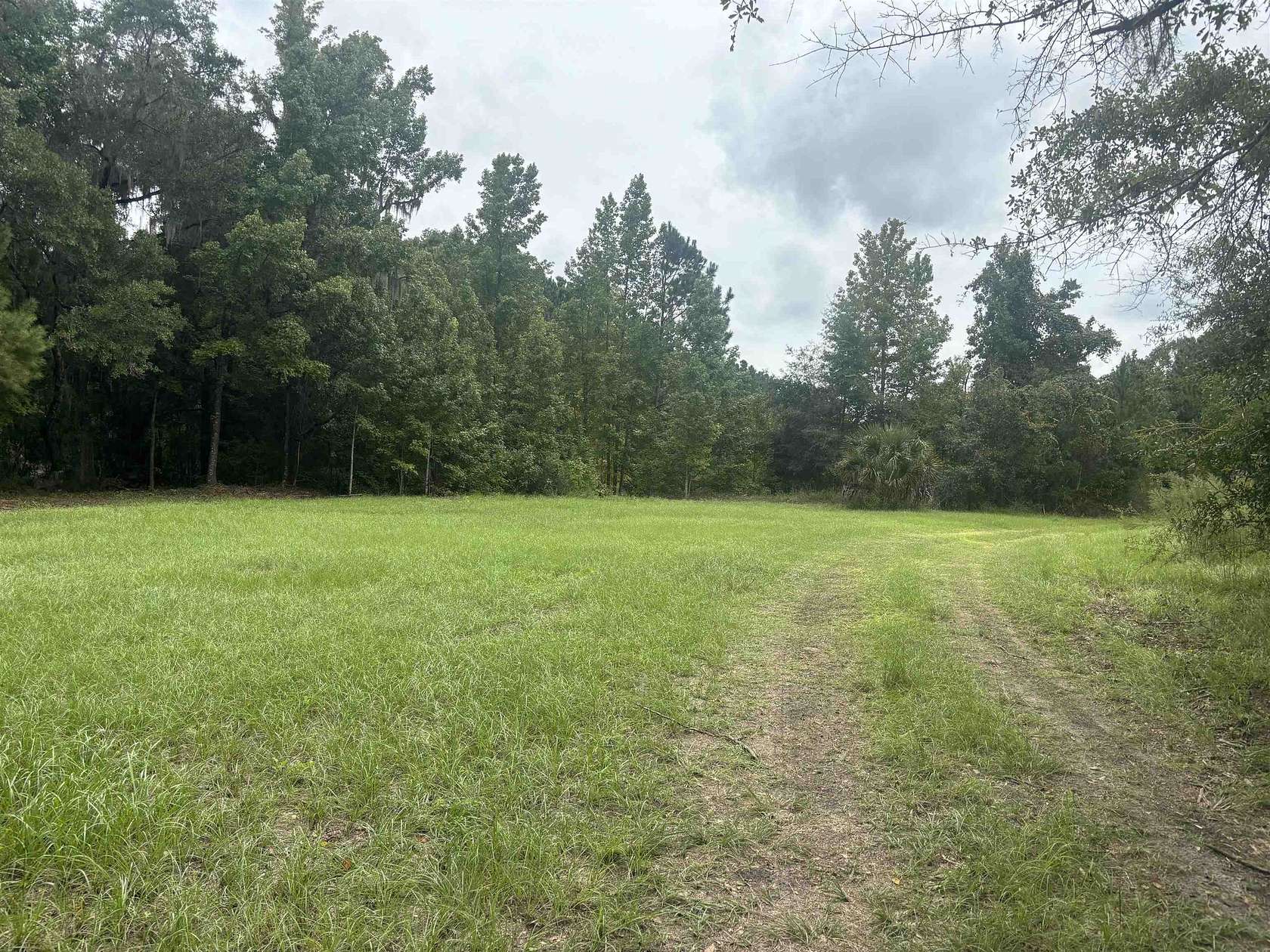 69.31 Acres of Land for Sale in Crawfordville, Florida