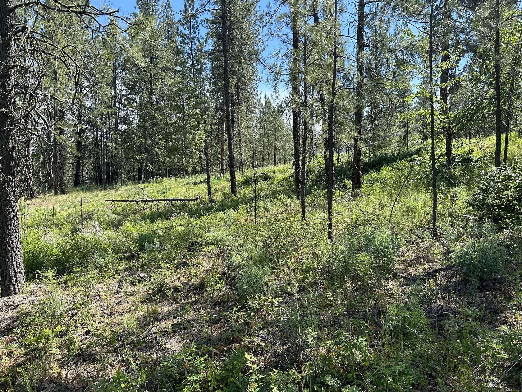 0.83 Acres of Residential Land for Sale in Kettle Falls, Washington