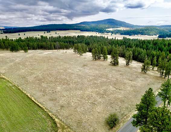 15 Acres of Recreational Land for Sale in Ferdinand, Idaho