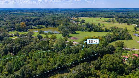 0.39 Acres of Residential Land for Sale in Paxton, Florida