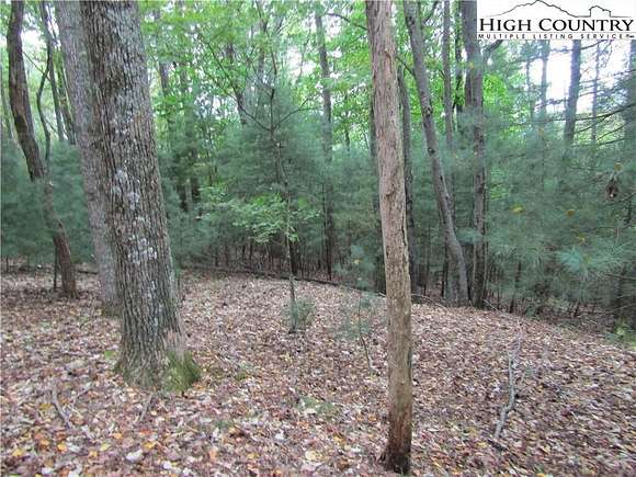 4.062 Acres of Land for Sale in McGrady, North Carolina