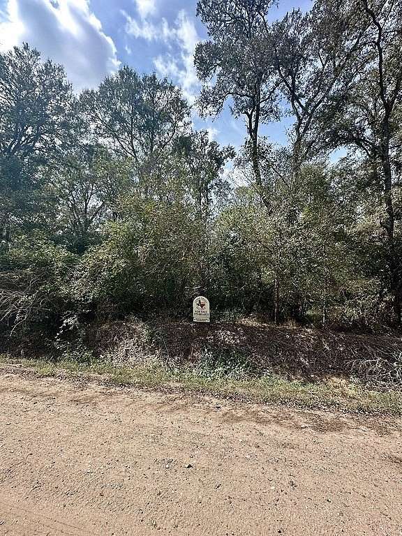 0.3 Acres of Land for Sale in Sealy, Texas