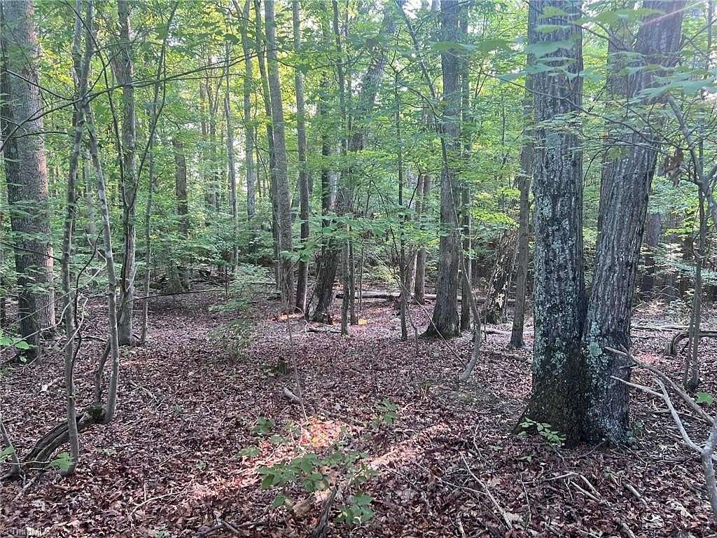 36.68 Acres of Recreational Land for Sale in Stokesdale, North Carolina