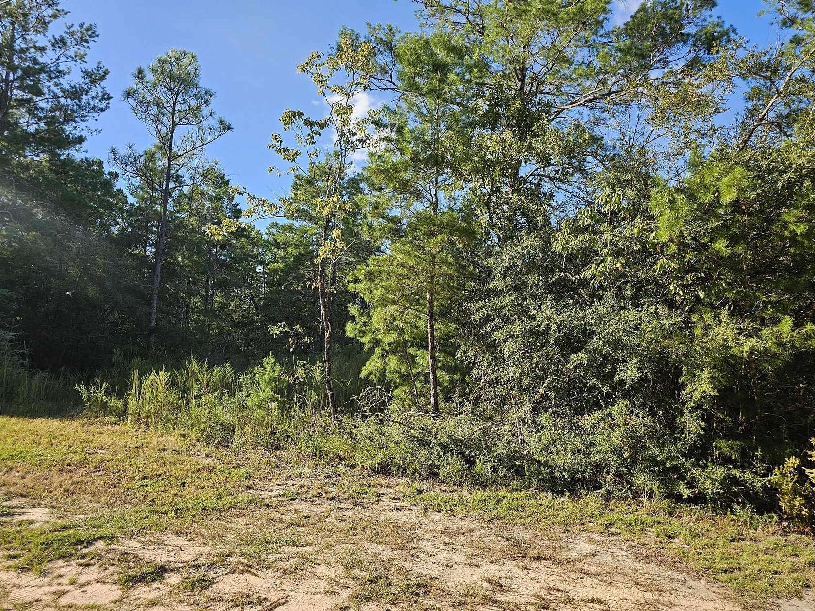 0.46 Acres of Residential Land for Sale in DeFuniak Springs, Florida