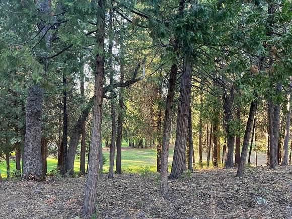 0.17 Acres of Residential Land for Sale in Murphys, California