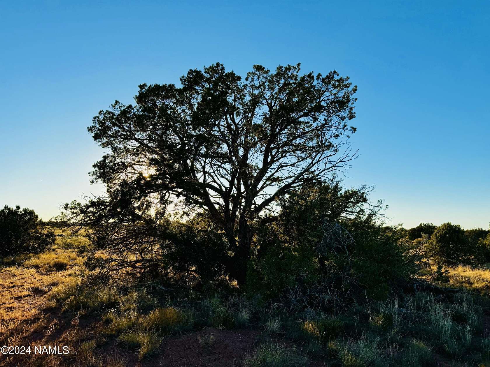 2 Acres of Land for Sale in Williams, Arizona