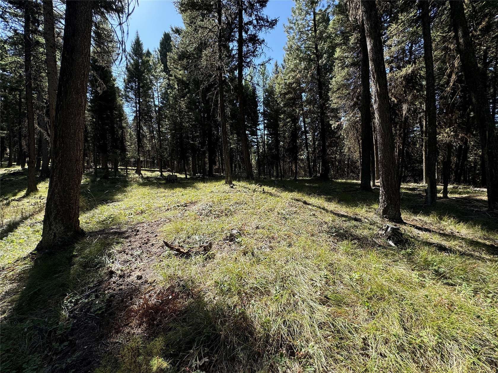 5 Acres of Residential Land for Sale in Seeley Lake, Montana
