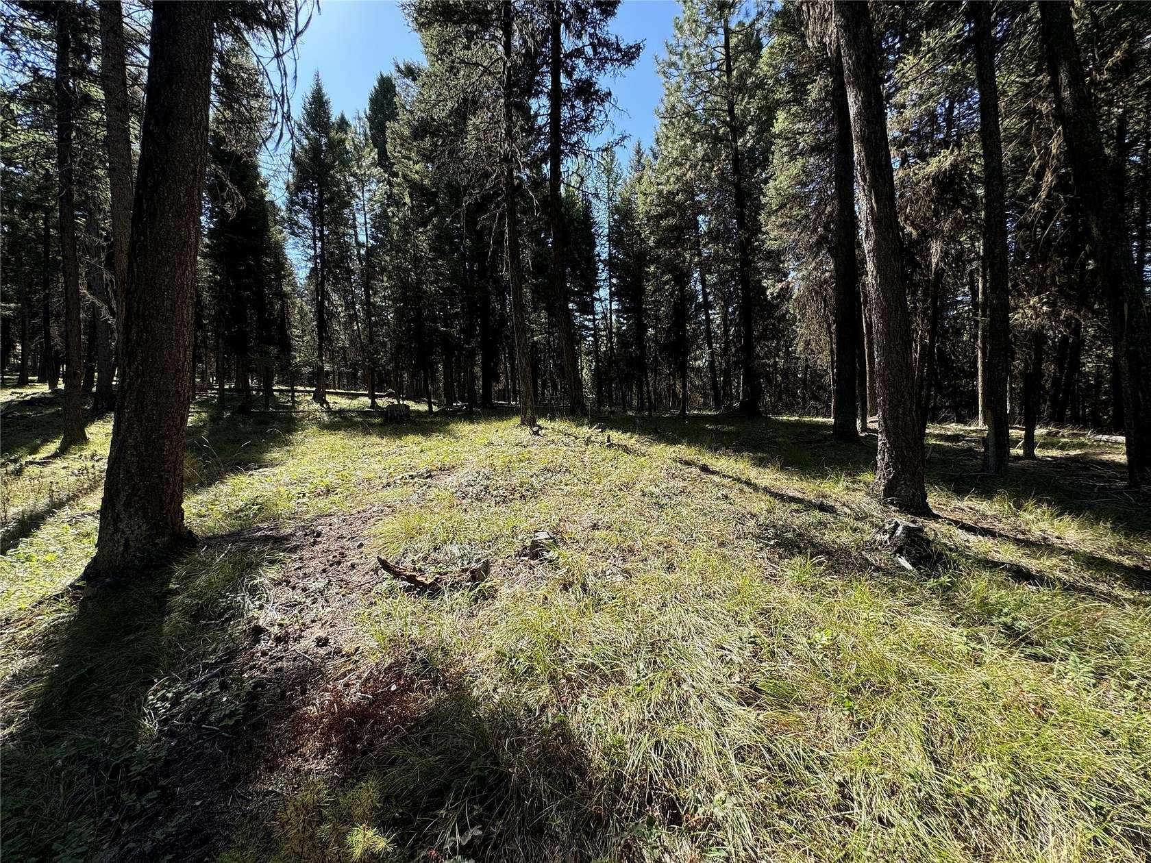 5 Acres of Residential Land for Sale in Seeley Lake, Montana