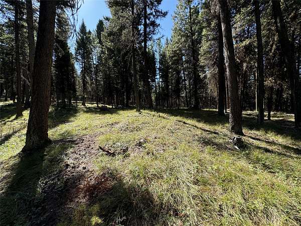 5 Acres of Residential Land for Sale in Seeley Lake, Montana