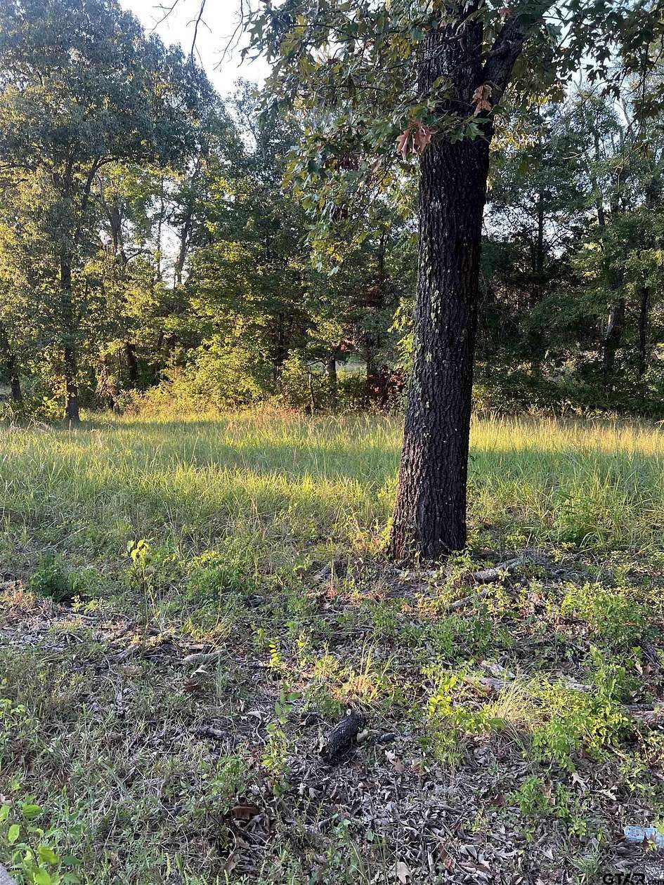 1.238 Acres of Residential Land for Sale in Lindale, Texas