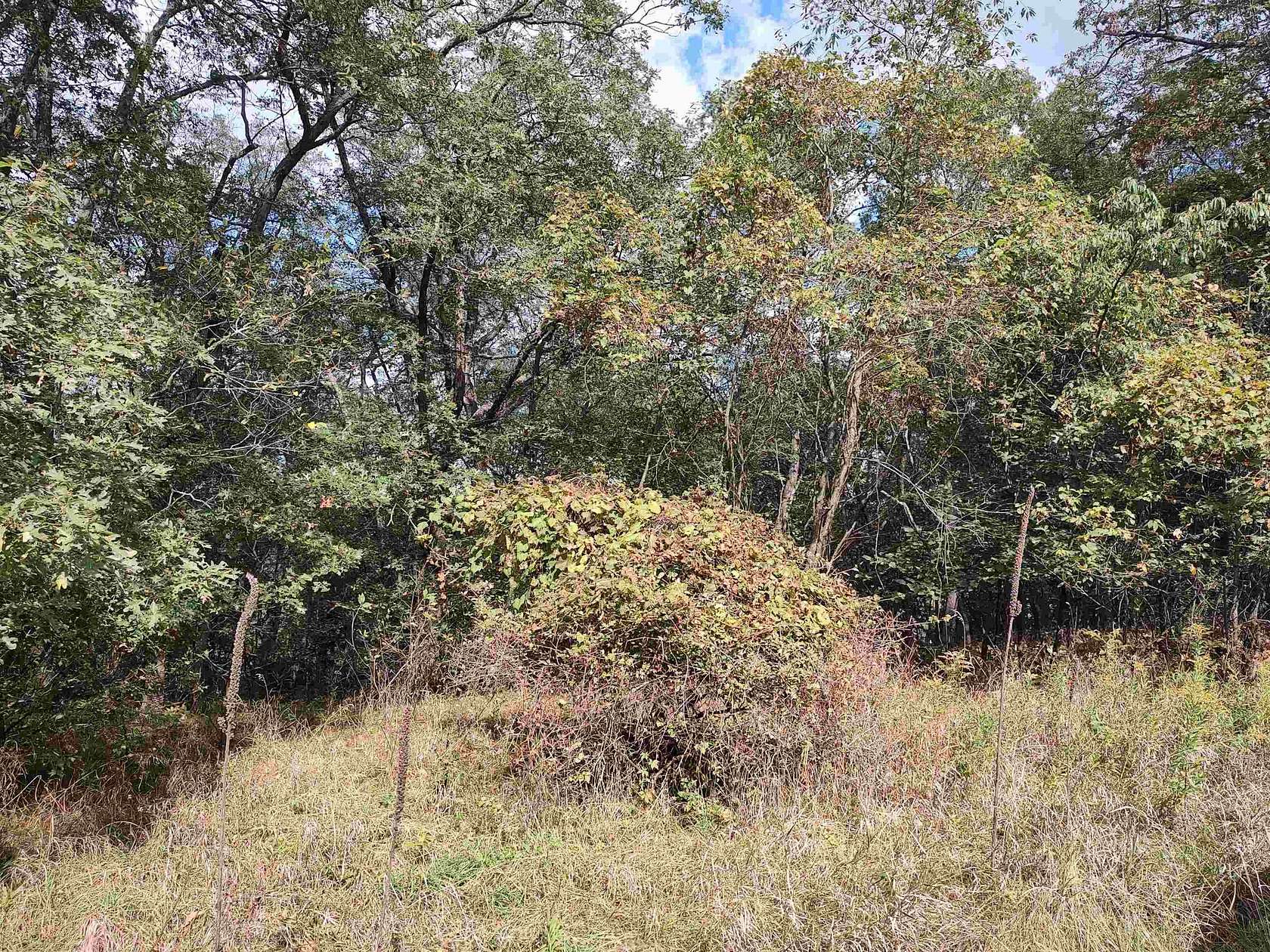 1.3 Acres of Residential Land for Sale in Montello, Wisconsin