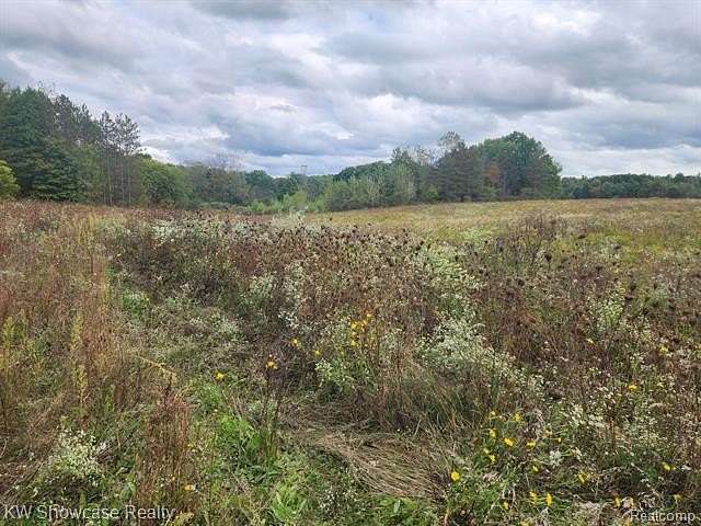 8 Acres of Residential Land for Sale in Goodells, Michigan