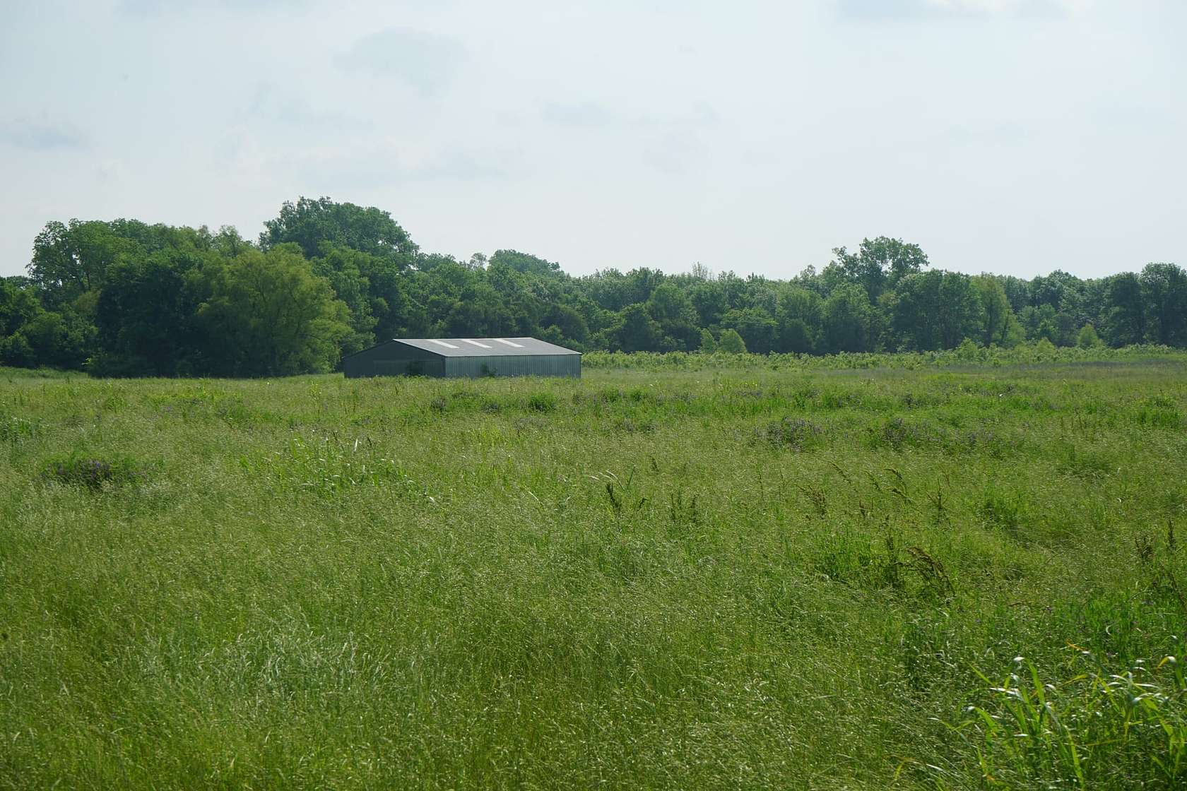 120 Acres of Recreational Land & Farm for Sale in Idabel, Oklahoma