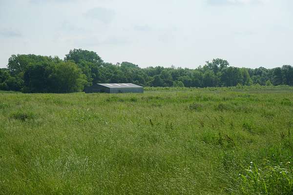 120 Acres of Recreational Land & Farm for Sale in Idabel, Oklahoma