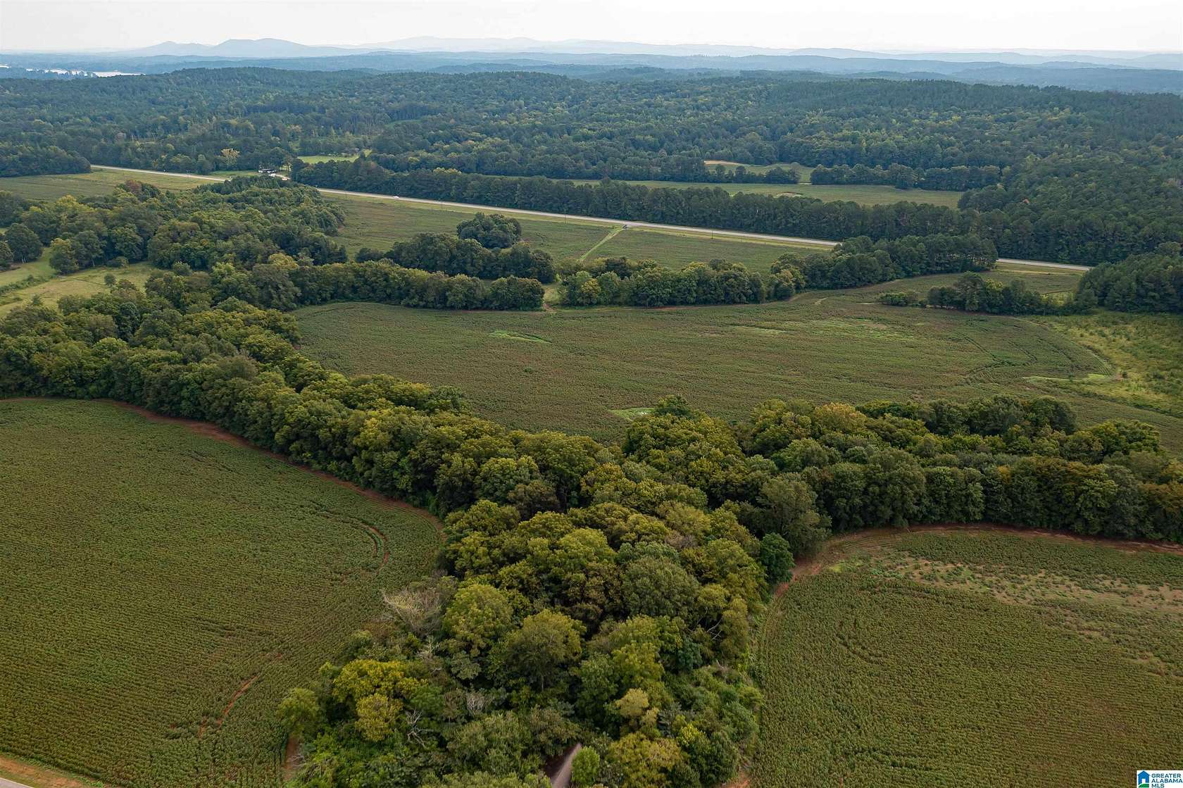 16.97 Acres of Agricultural Land for Sale in Columbiana, Alabama