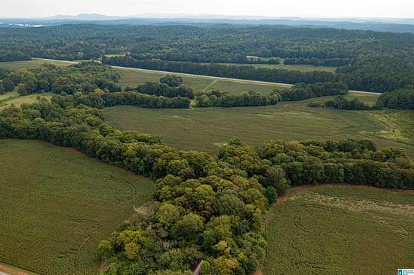 16.97 Acres of Agricultural Land for Sale in Columbiana, Alabama