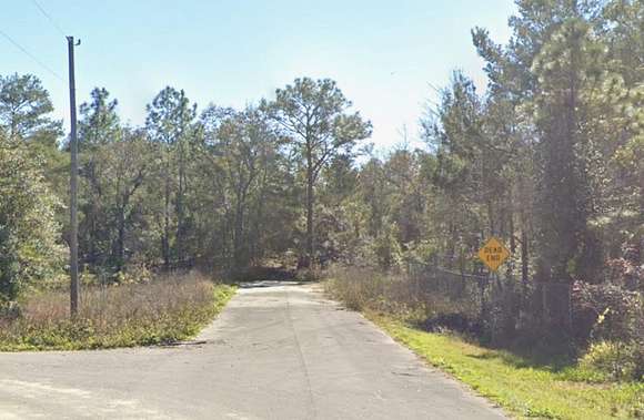 1.43 Acres of Land for Sale in Summerfield, Florida