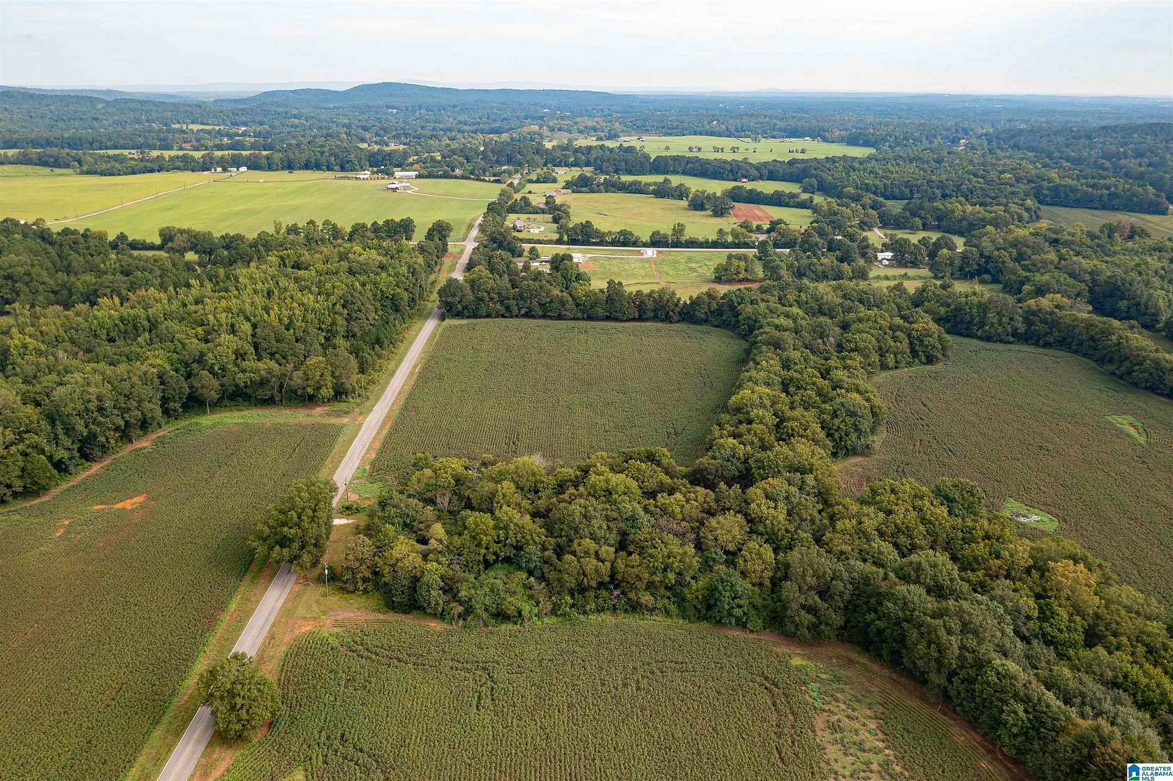 69.46 Acres of Land for Sale in Columbiana, Alabama