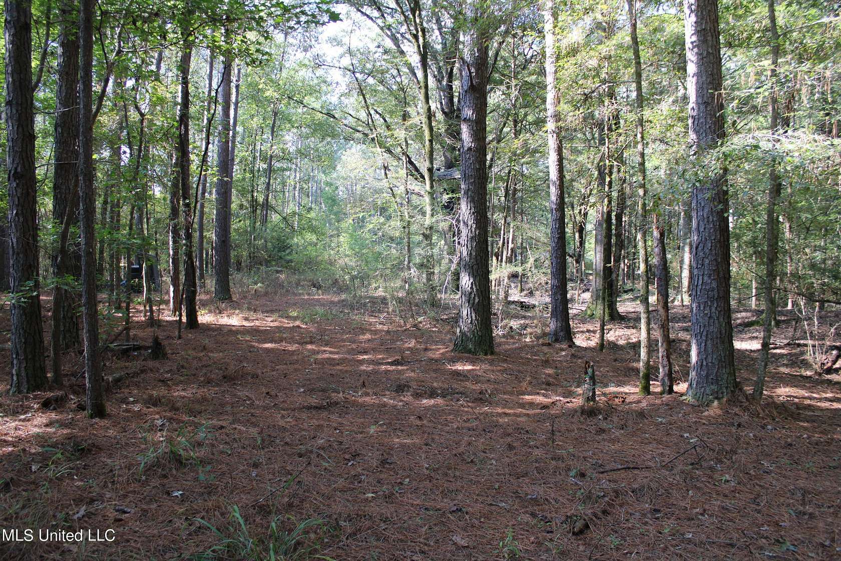 12.65 Acres of Land for Sale in Canton, Mississippi