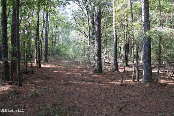 12.65 Acres of Land for Sale in Canton, Mississippi