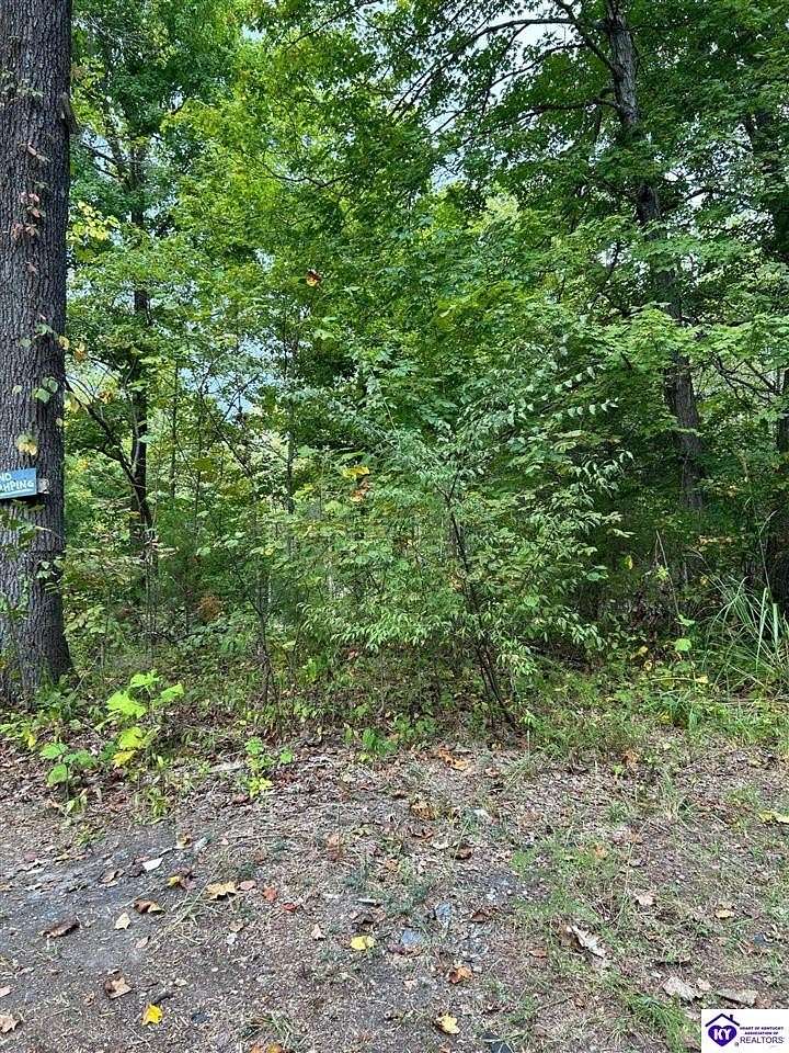 0.5 Acres of Residential Land for Sale in Rineyville, Kentucky