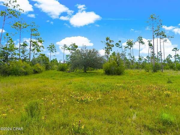 1 Acre of Residential Land for Sale in Panama City, Florida
