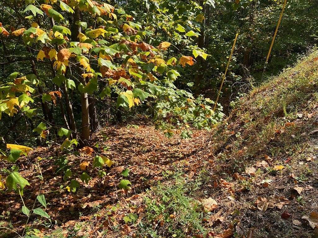 2.09 Acres of Residential Land for Sale in Ranger, Georgia